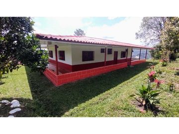 Finca Para Agroturismo En Venta Salento