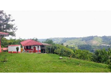 Finca Para Agroturismo En Venta Salento