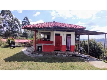 Finca Para Agroturismo En Venta Salento