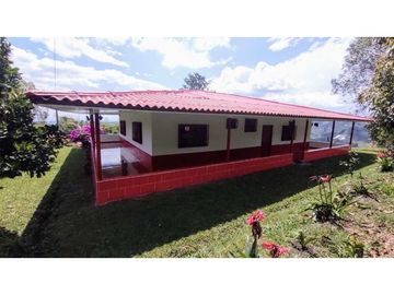 Finca Para Agroturismo En Venta Salento