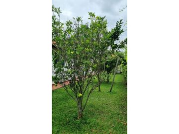 Hermosa finca en parcelación cerrada en venta Santa Elena El Cerrito