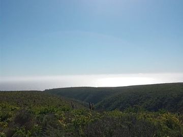 Sitio en Venta en Costa Dorada / Ovalle
