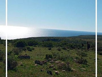 Sitio en Venta en Costa Dorada / Ovalle