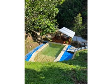 VENDO FINCA HOTEL EN SONSON ANTIOQUIA 5.5 HECTAREAS CH