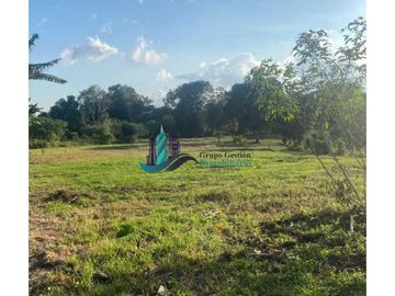 VENDO 3HECTAREAS + EN SANTA RITA BOQUERON