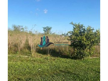 VENDO 3HECTAREAS + EN SANTA RITA BOQUERON