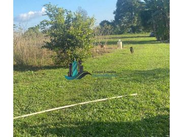 VENDO 3HECTAREAS + EN SANTA RITA BOQUERON