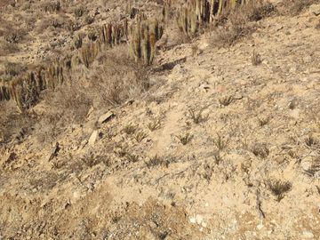 Espectacular terreno en inmejorable ubicación