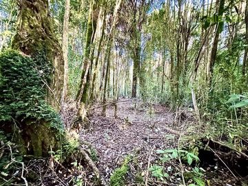 Parcela en Venta en Fundo Las Cumbres, Cumbre de Los Volcanes, km 8 hacia Ensenada