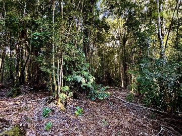 Parcela en Venta en Fundo Las Cumbres, Cumbre de Los Volcanes, km 8 hacia Ensenada