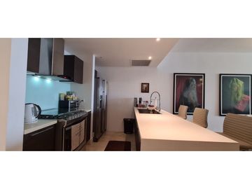 Se vende apartamento amoblado ubicado en avenida balboa.  (AA)