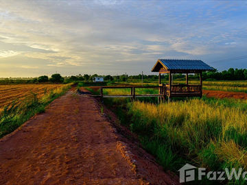 Land for sale in Phrommani, Nakhon Nayok
