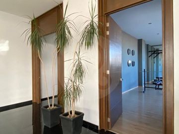 Miranta Metepec Departamento en venta en Llano Grande