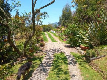 FINCA en VENTA en Zipaquirá Cogua