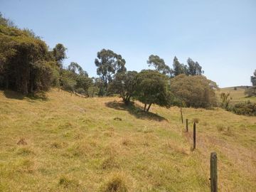 FINCA en VENTA en Zipaquirá Cogua