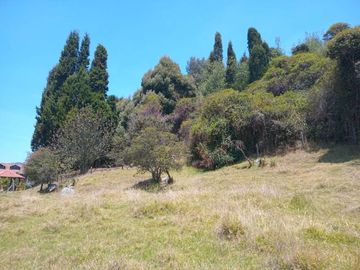 FINCA en VENTA en Zipaquirá Cogua