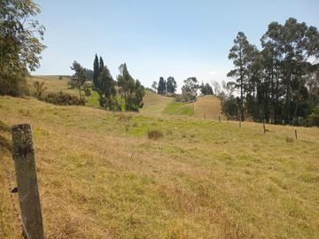 FINCA en VENTA en Zipaquirá Cogua