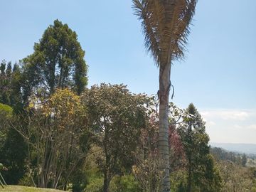 FINCA en VENTA en Zipaquirá Cogua