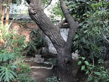 Casa en Venta en Blest Gana