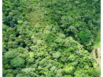 Oportunidad! Se Vende Finca Titulada en Campana