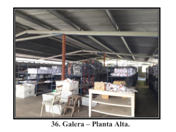 VENDO GALERA TERRENO Y OFICINA  PUEBLO NUEVO
