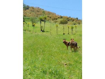 Vendo casa finca via santuario - Granada
