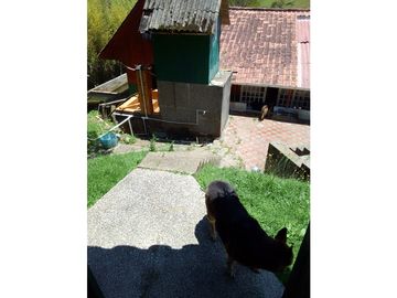 Vendo casa finca via santuario - Granada