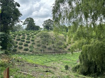 Se Vende Finca Productiva En Pueblo Tapao Cerca Al Parque Del Cafe
