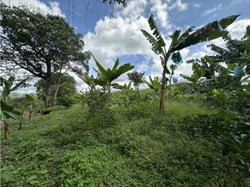 Se Vende Finca Productiva En Pueblo Tapao Cerca Al Parque Del Cafe