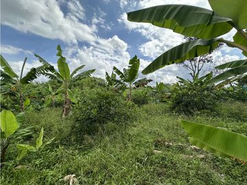 Se Vende Finca Productiva En Pueblo Tapao Cerca Al Parque Del Cafe