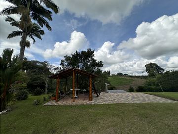 Se Vende Finca Productiva En Pueblo Tapao Cerca Al Parque Del Cafe