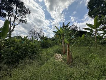 Se Vende Finca Productiva En Pueblo Tapao Cerca Al Parque Del Cafe