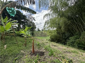 Se Vende Finca Productiva En Pueblo Tapao Cerca Al Parque Del Cafe