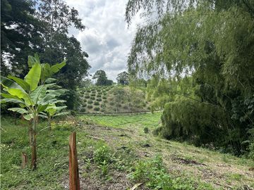 Se Vende Finca Productiva En Pueblo Tapao Cerca Al Parque Del Cafe