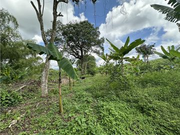 Se Vende Finca Productiva En Pueblo Tapao Cerca Al Parque Del Cafe