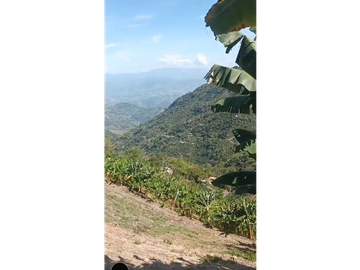 SE VENDE FINCA EN QUINCHIA TERRENO ORGANICO 14 HECTAREAS Y MEDIA