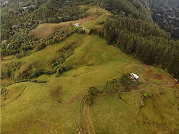 Se Vende Hacienda Vereda Cruces Filandia Quindío