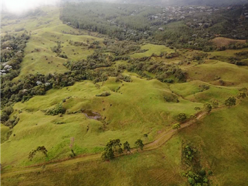 Se Vende Hacienda Vereda Cruces Filandia Quindío
