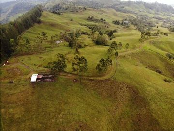 Se Vende Hacienda Vereda Cruces Filandia Quindío
