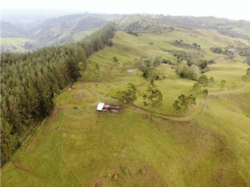 Se Vende Hacienda Vereda Cruces Filandia Quindío