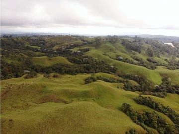 Se Vende Hacienda Vereda Cruces Filandia Quindío