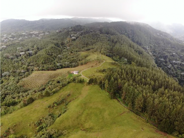 Se Vende Hacienda Vereda Cruces Filandia Quindío