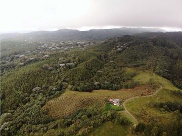 Se Vende Hacienda Vereda Cruces Filandia Quindío