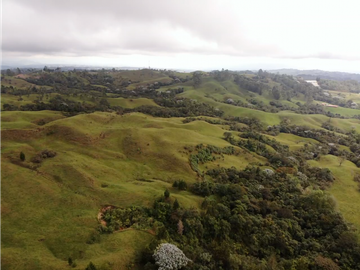 Se Vende Hacienda Vereda Cruces Filandia Quindío