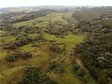 Se Vende Hacienda Vereda Cruces Filandia Quindío