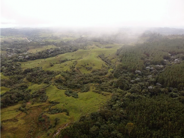 Se Vende Hacienda Vereda Cruces Filandia Quindío