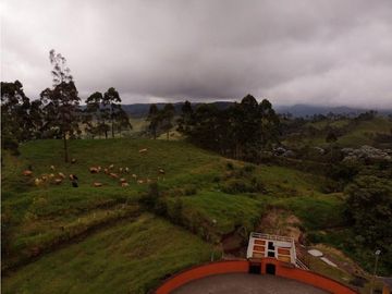 Se Vende Hacienda Vereda Cruces Filandia Quindío