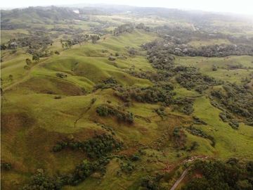 Se Vende Hacienda Vereda Cruces Filandia Quindío