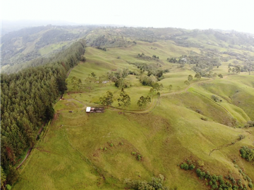 Se Vende Hacienda Vereda Cruces Filandia Quindío