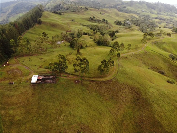 Se Vende Hacienda Vereda Cruces Filandia Quindío